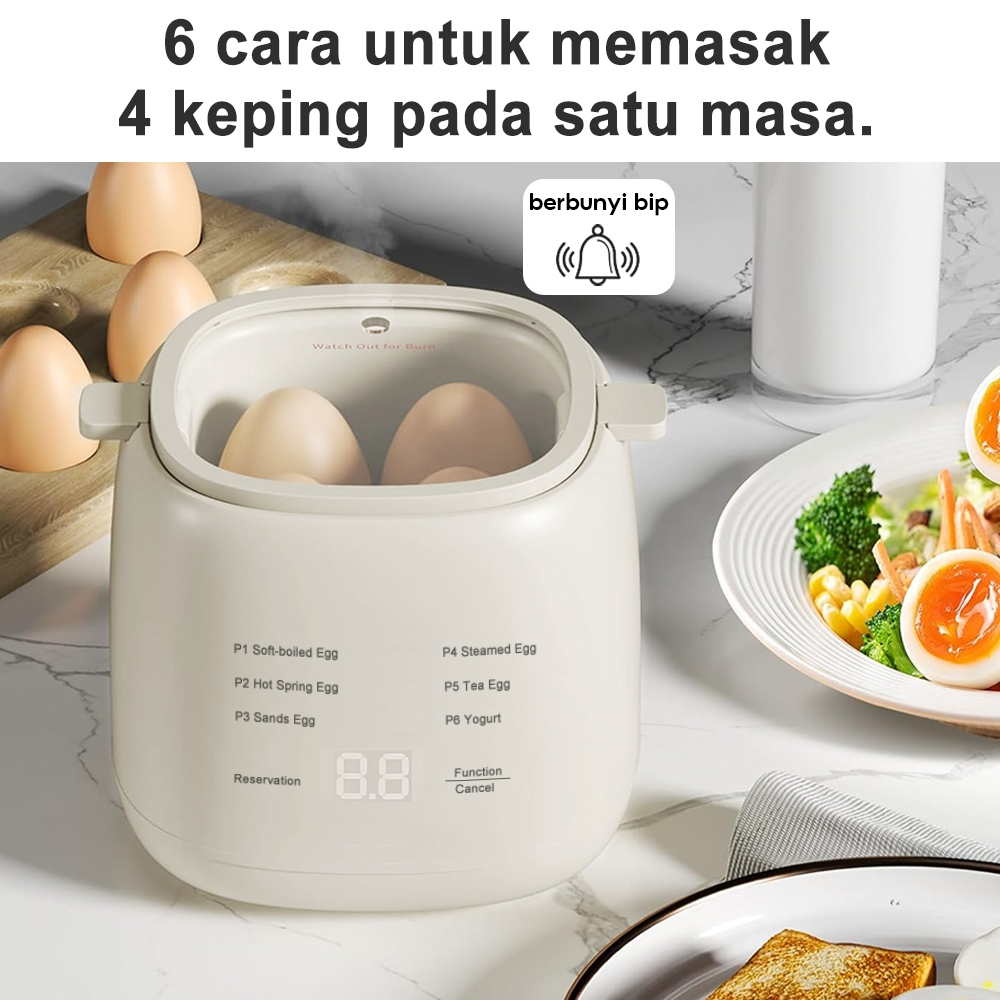 EGG Boiler (Yugena)