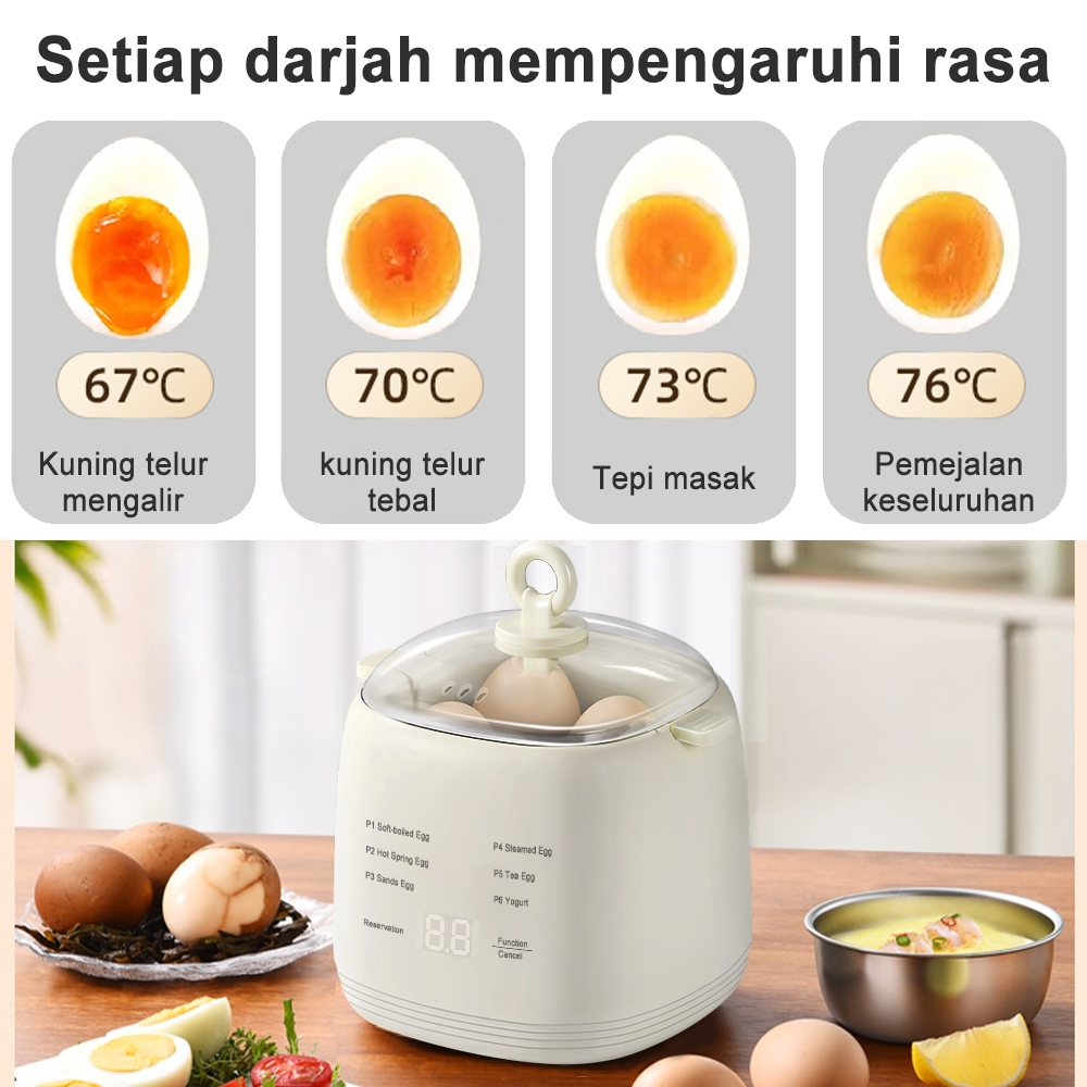 EGG Boiler (Yugena)