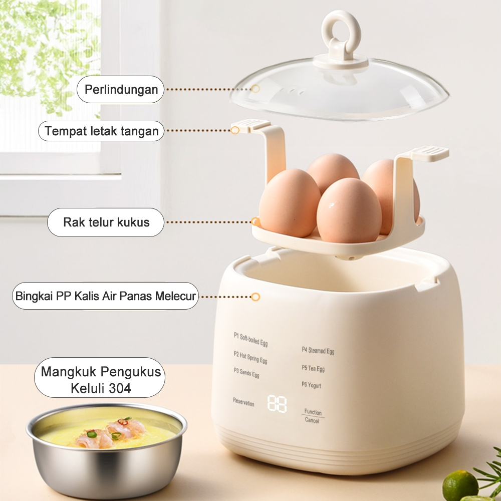 EGG Boiler (Yugena)